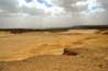 Una Veduta Suggestiva delle Dune di El Alamein